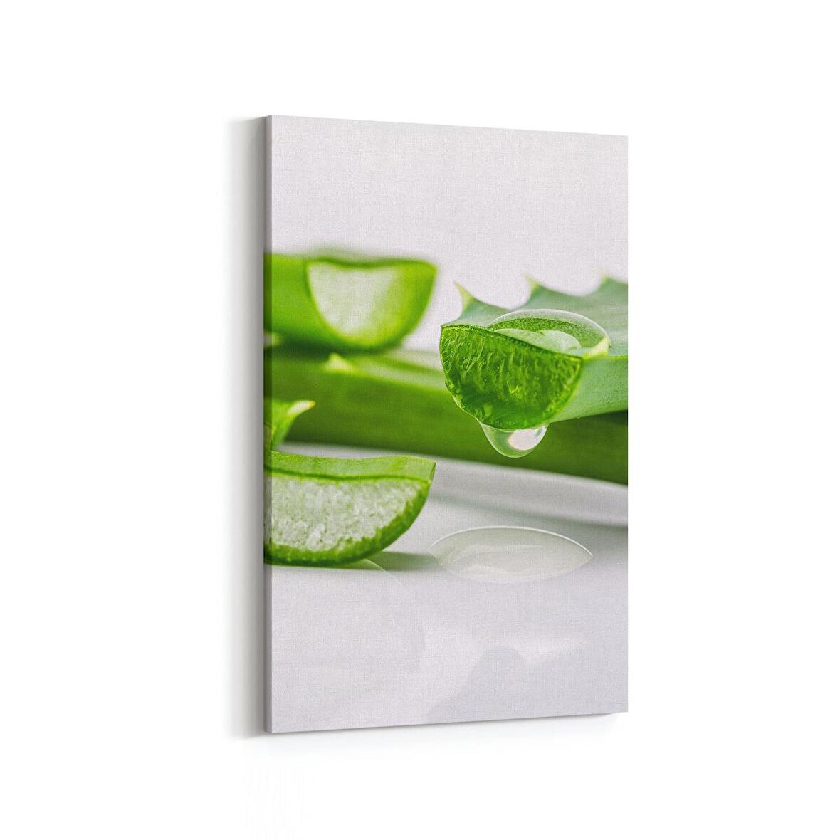 Olla 15126D Gıda Görseli Dikey Kanvas Tablo (Ölçü: 20X30)