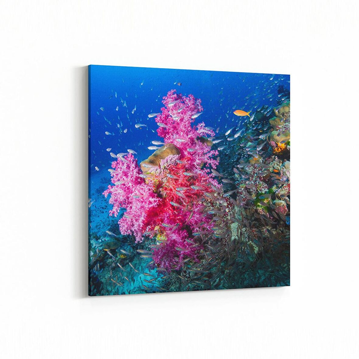 Olla 12104K Akvaryum / Balık Görseli Kare Kanvas Tablo (Ölçü: 25X25)