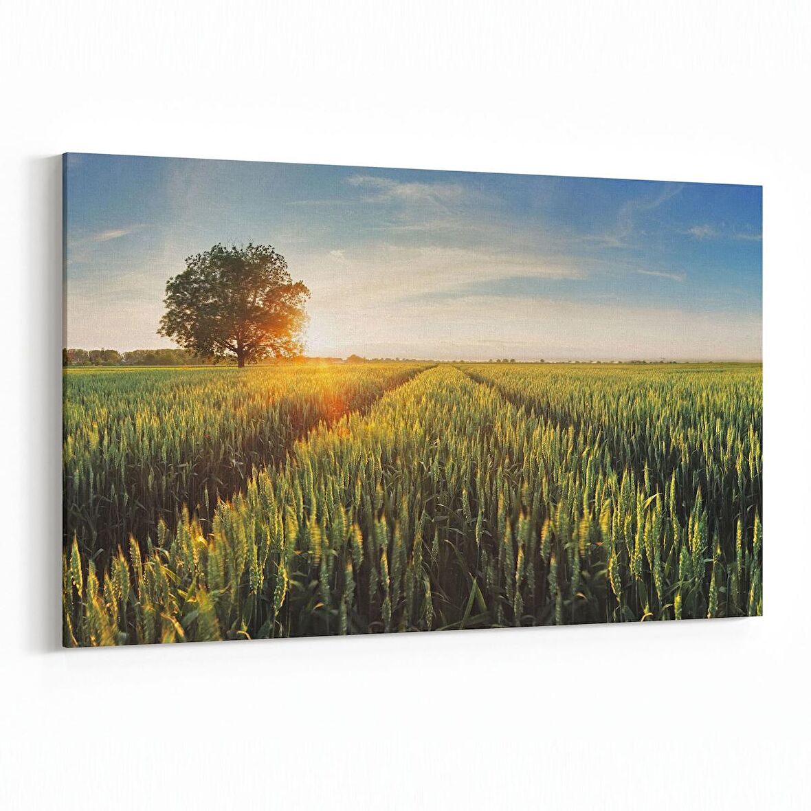 Olla 13889Y Doğa / Manzara Görseli Yatay Kanvas Tablo (Ölçü: 90X60)