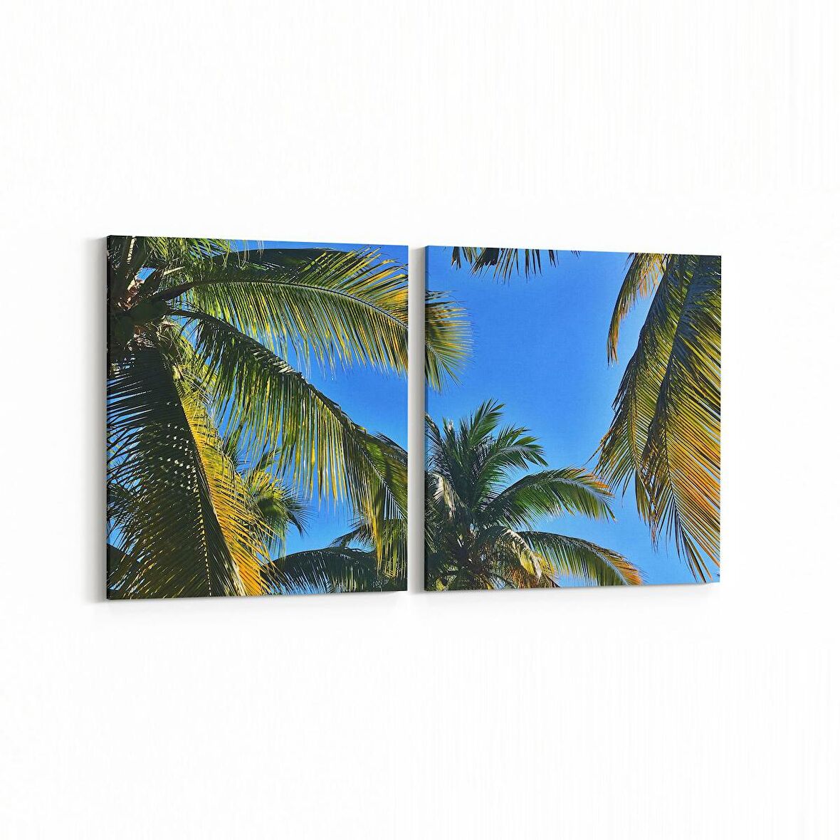 Olla 11534K2Y Palmiye Ağacı Görseli Kare 2'li Yatay Kanvas Tablo (Ölçü: 65X30)