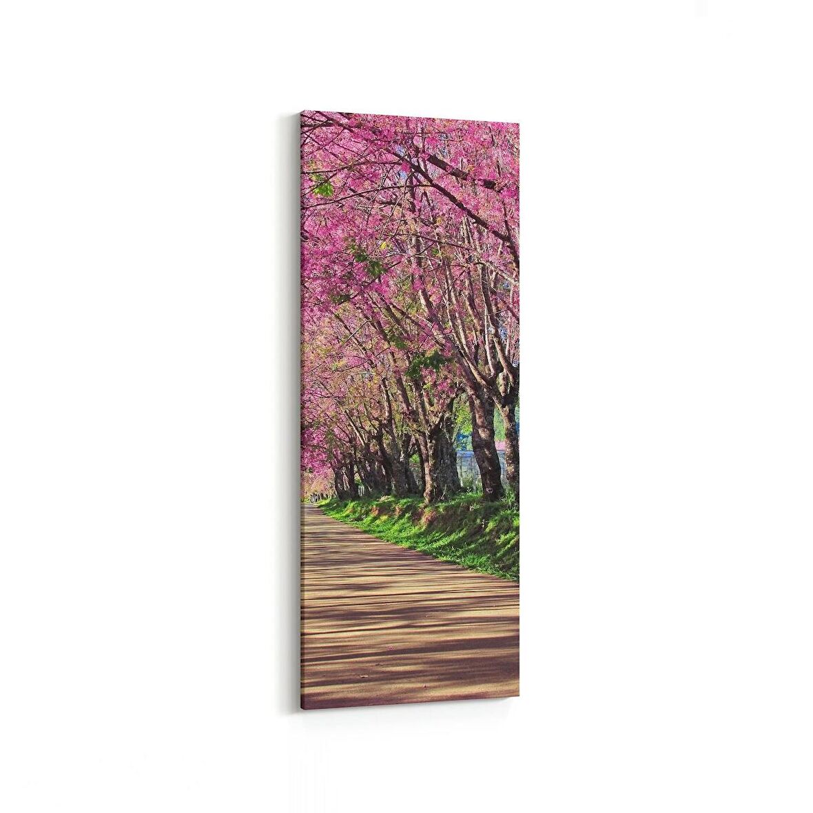 Olla 14633DI Doğa / Manzara Görseli Dikey İnce Kanvas Tablo (Ölçü: 40X120)