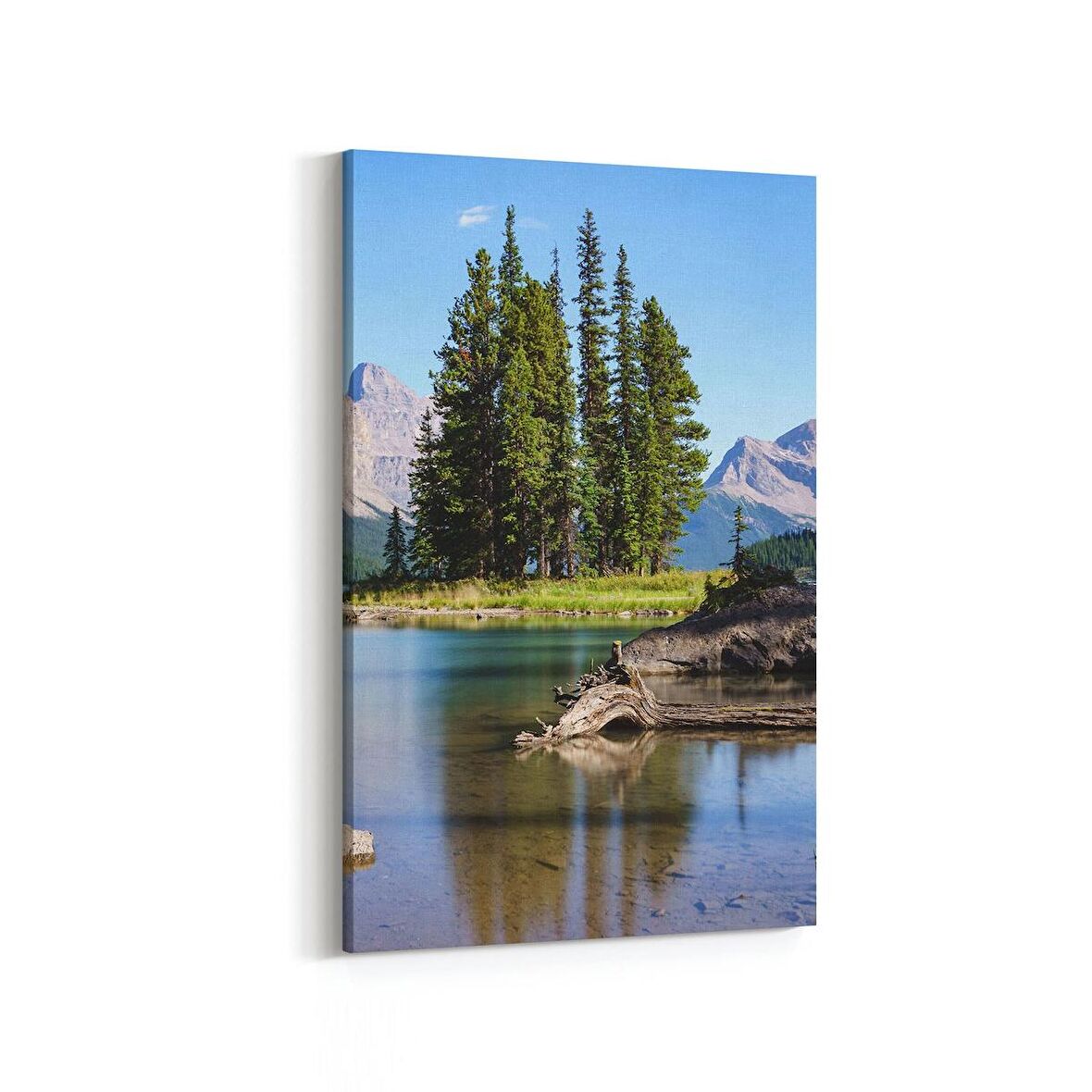 Olla 13204D Doğa / Manzara Görseli Dikey Kanvas Tablo (Ölçü: 20X30)