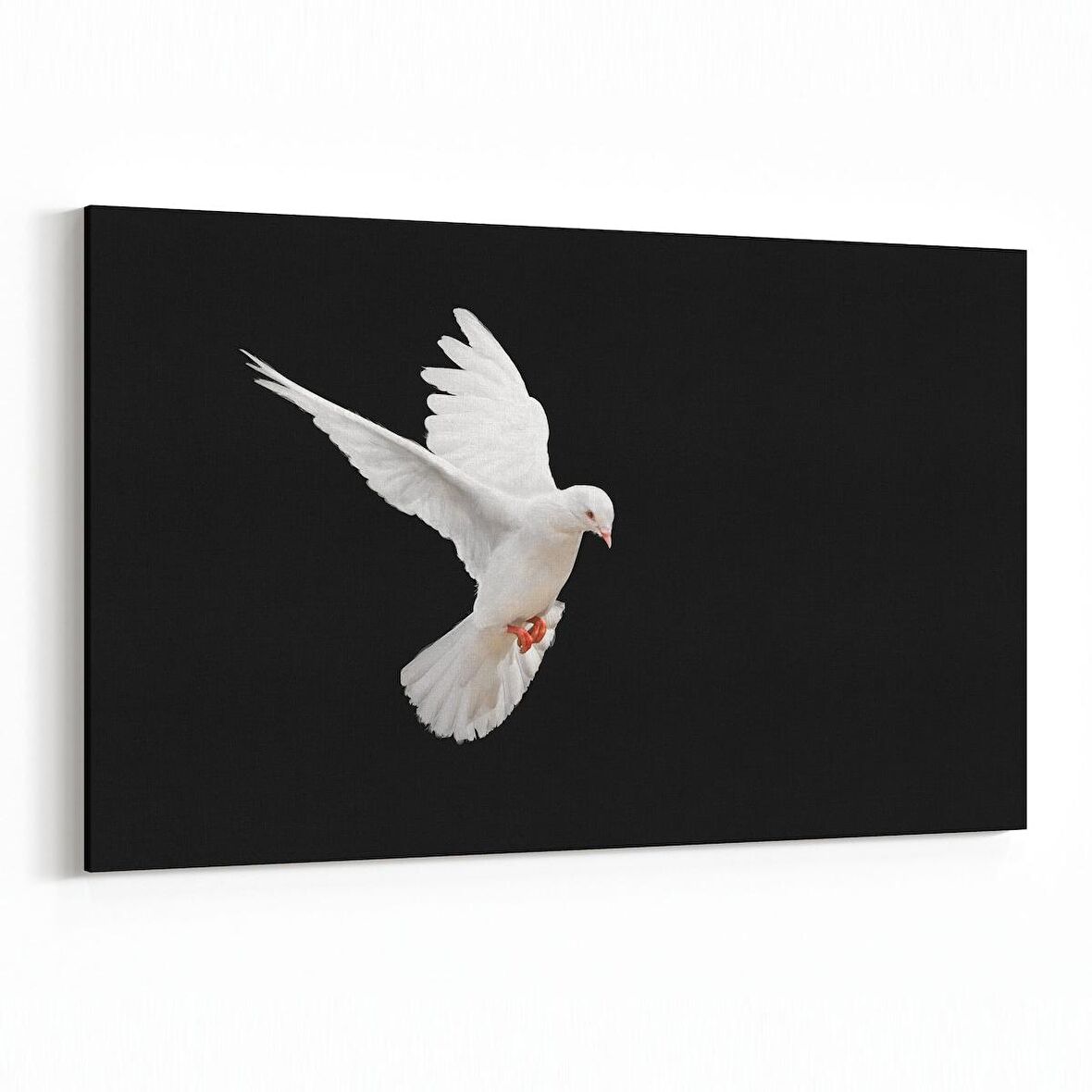 Olla 12614Y Hayvanlar Alemi Görseli Yatay Kanvas Tablo (Ölçü: 90X60)