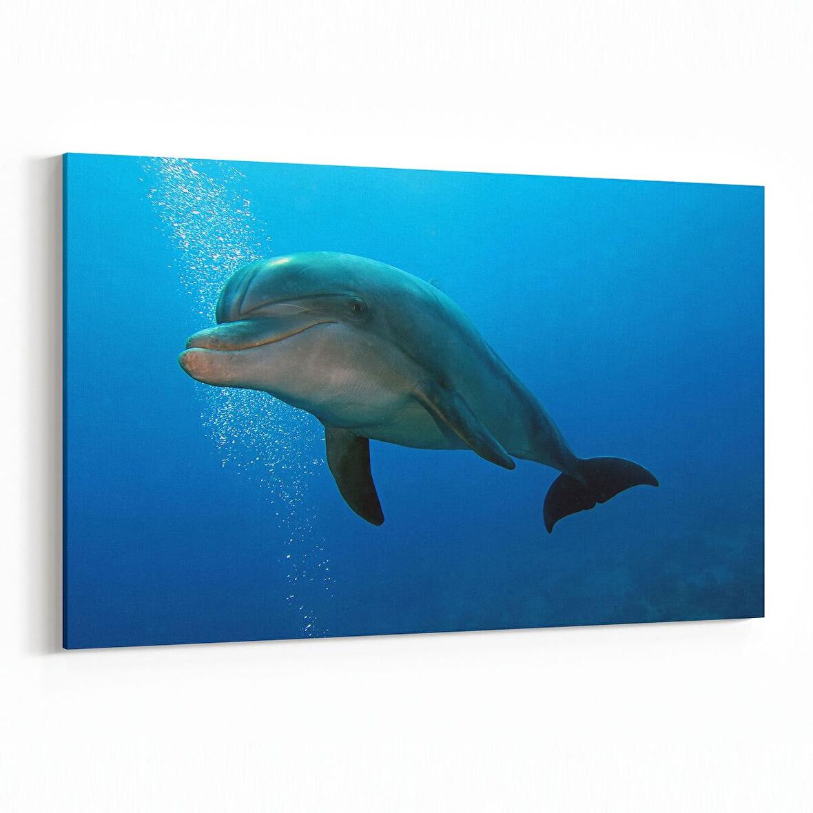 Olla 12956Y Deniz / Okyanus Görseli Yatay Kanvas Tablo (Ölçü: 120X80)