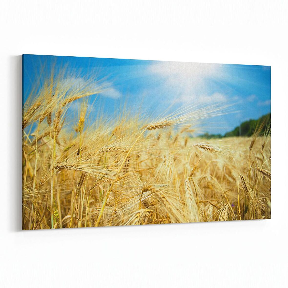 Olla 13893Y Doğa / Manzara Görseli Yatay Kanvas Tablo (Ölçü: 90X60)