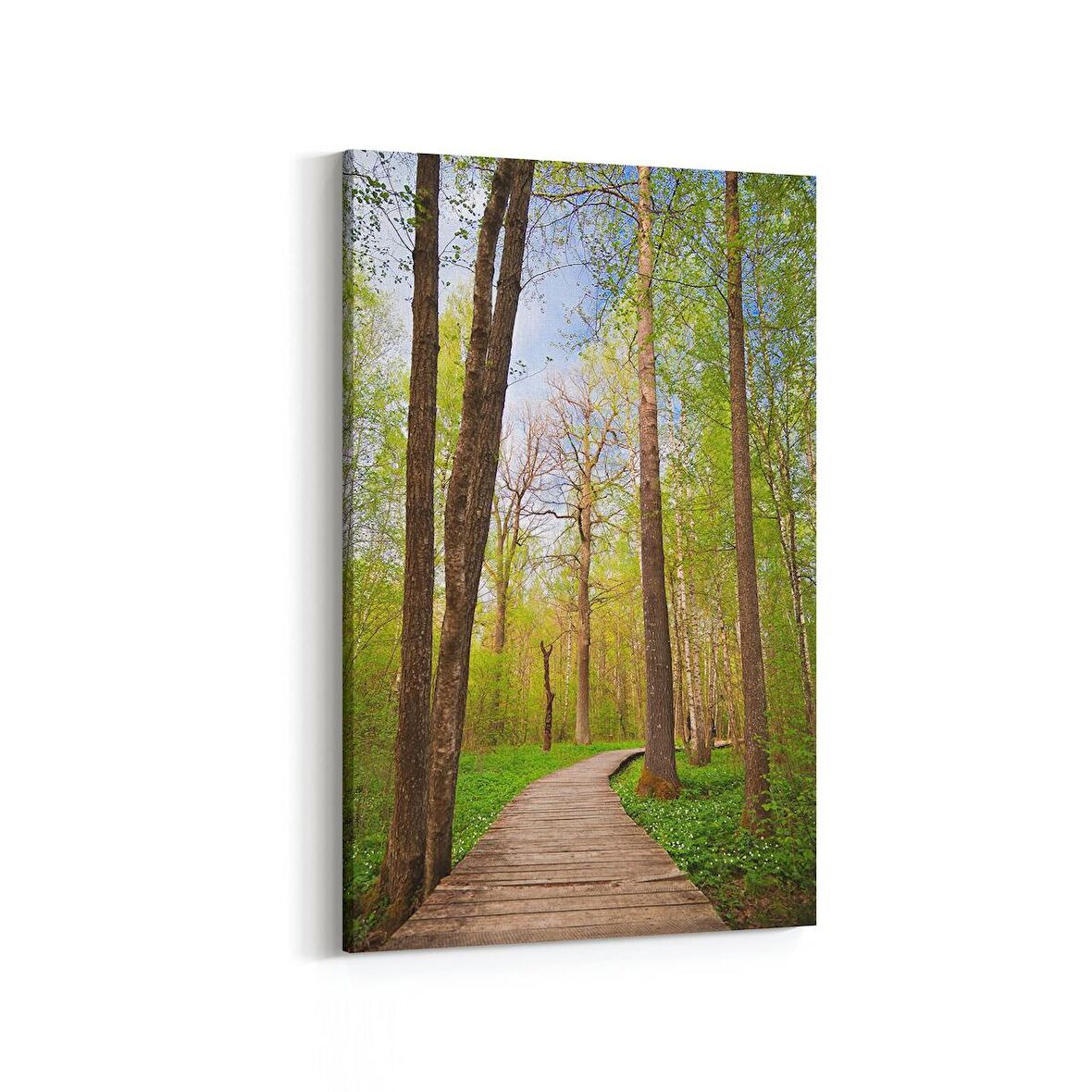 Olla 13445D Doğa / Manzara Görseli Dikey Kanvas Tablo (Ölçü: 70X105)