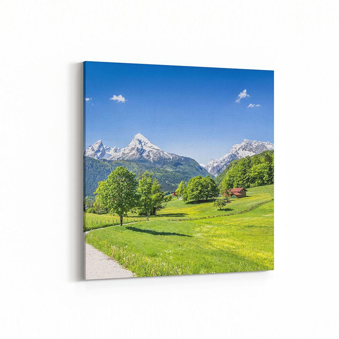 Olla 13690K Doğa / Manzara Görseli Kare Kanvas Tablo (Ölçü: 60X60)