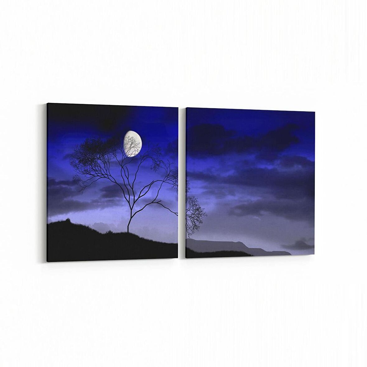 Olla 14789K2Y Gece Gökyüzü Görseli Kare 2'li Yatay Kanvas Tablo (Ölçü: 105X50)