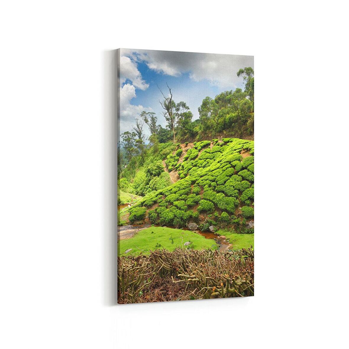 Olla 14544DD Doğa / Manzara Görseli Dikey Dar Kanvas Tablo (Ölçü: 30X60)