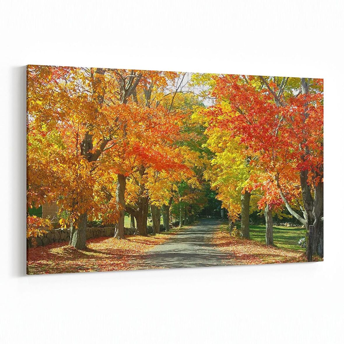 Olla 14529Y Doğa / Manzara Görseli Yatay Kanvas Tablo (Ölçü: 150X100)