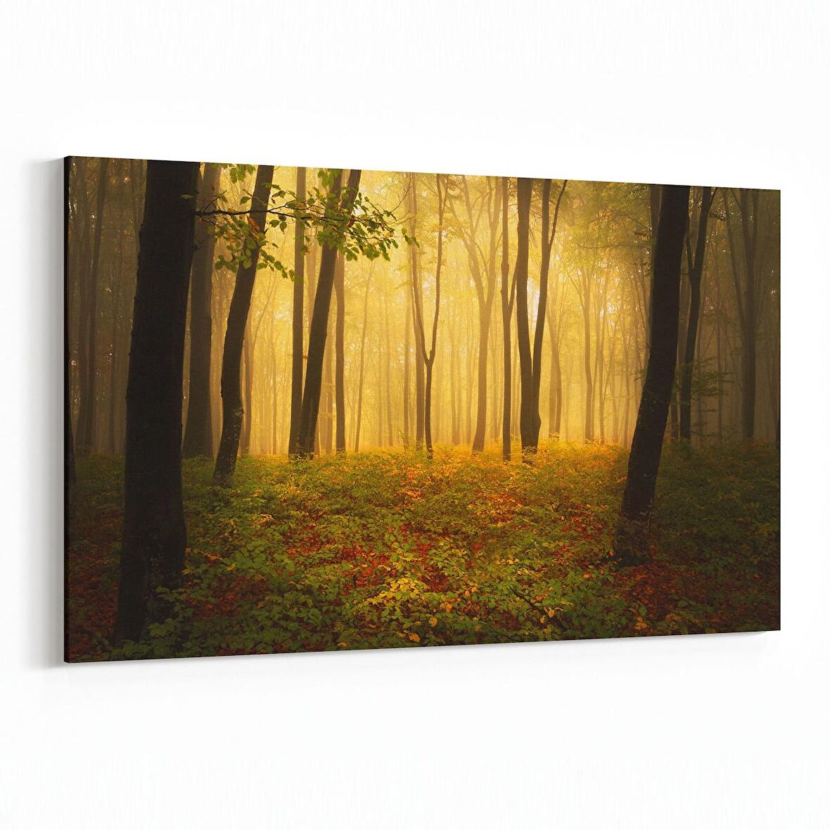 Olla 13374Y Doğa / Manzara Görseli Yatay Kanvas Tablo (Ölçü: 45X30)