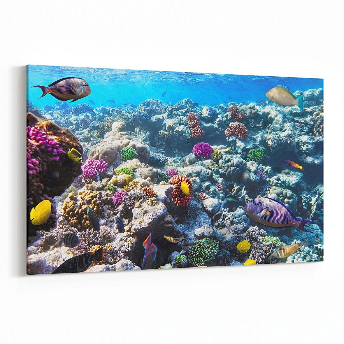 Olla 12073Y Akvaryum / Balık Görseli Yatay Kanvas Tablo (Ölçü: 30X20)