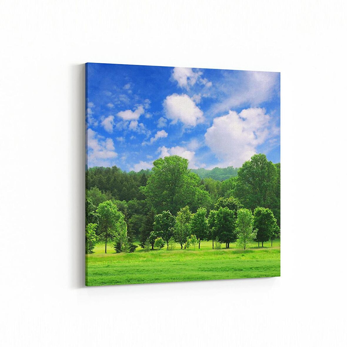 Olla 13859K Doğa / Manzara Görseli Kare Kanvas Tablo (Ölçü: 25X25)