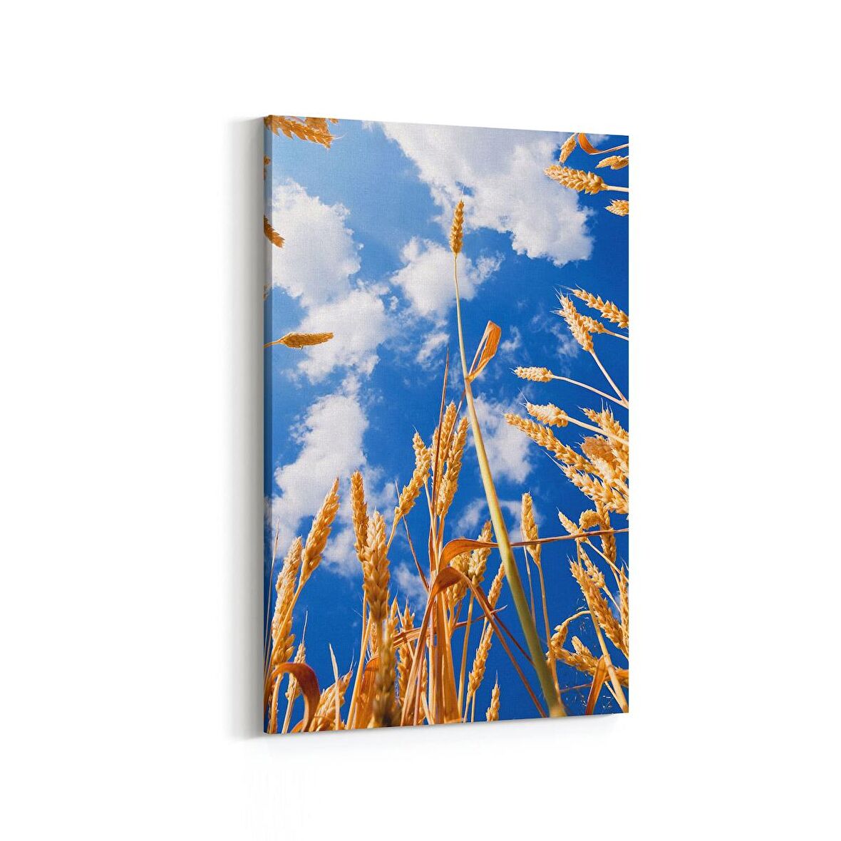 Olla 15283D Gıda Görseli Dikey Kanvas Tablo (Ölçü: 100X150)