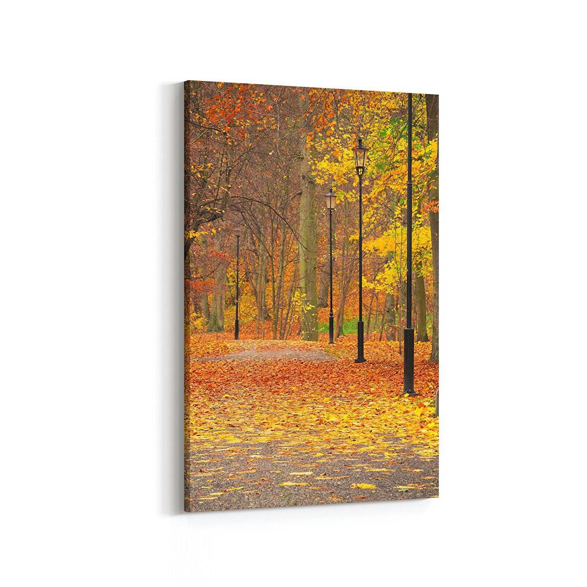 Olla 13598D Doğa / Manzara Görseli Dikey Kanvas Tablo (Ölçü: 60X90)