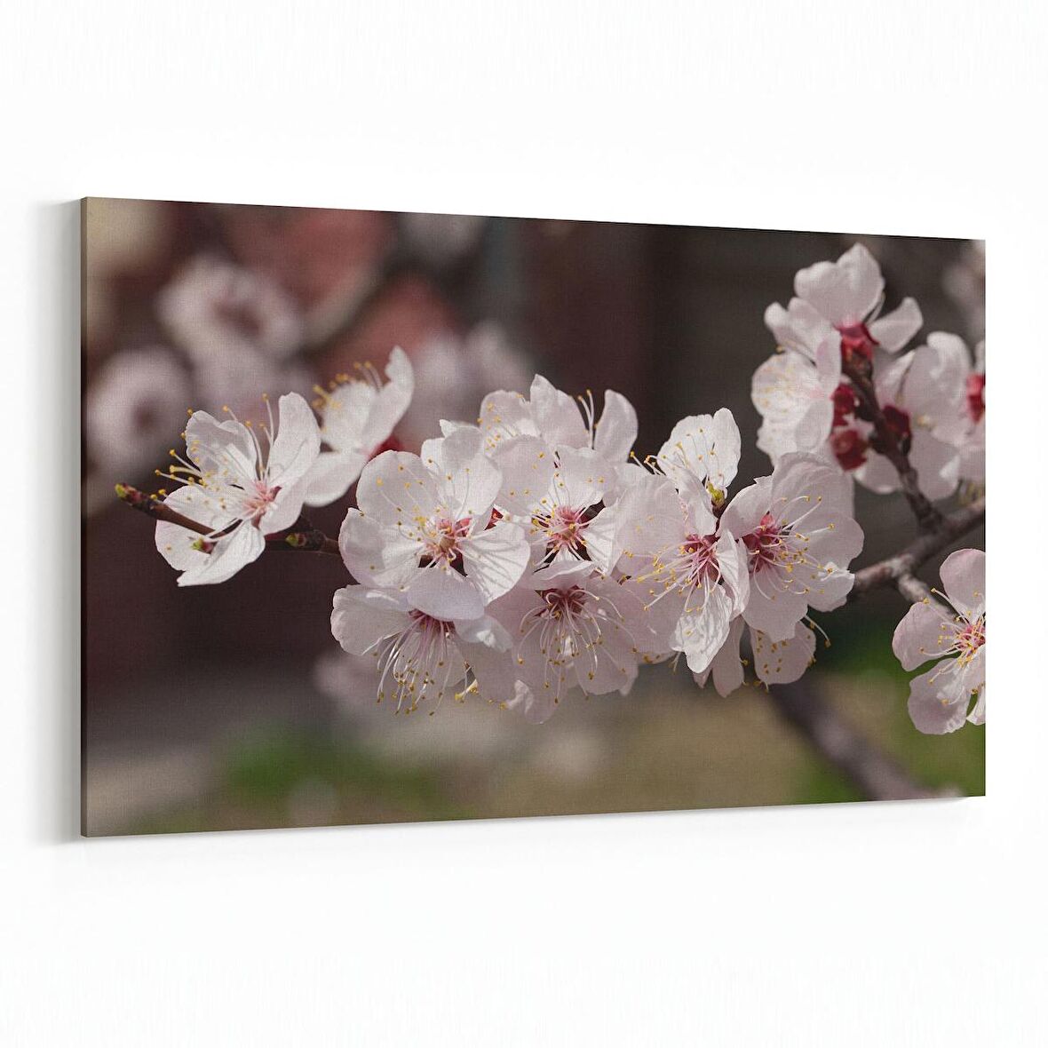 Olla 10665Y Ağaç Görseli Yatay Kanvas Tablo (Ölçü: 90X60)