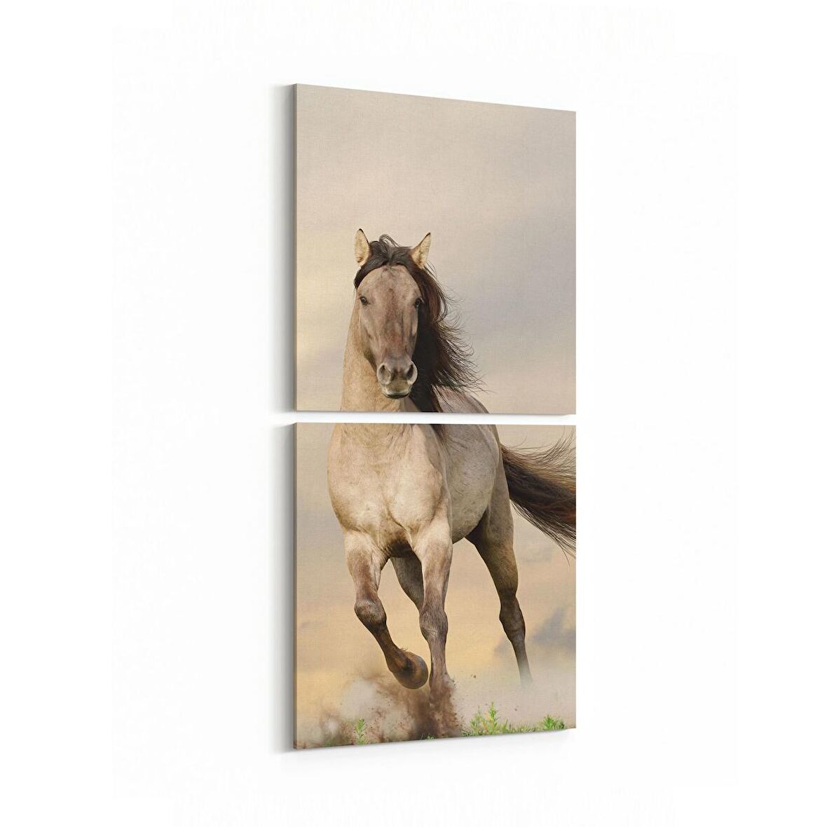 Olla 12464K2D Hayvanlar Alemi Görseli Kare 2'li Dikey Kanvas Tablo (Ölçü: 30X65)