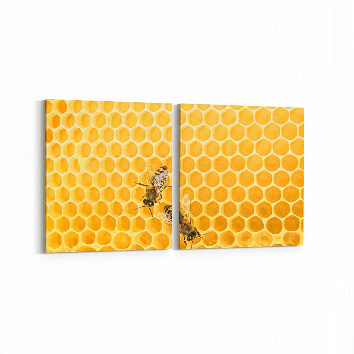 Olla 12561K2Y Hayvanlar Alemi Görseli Kare 2'li Yatay Kanvas Tablo (Ölçü: 145X70)