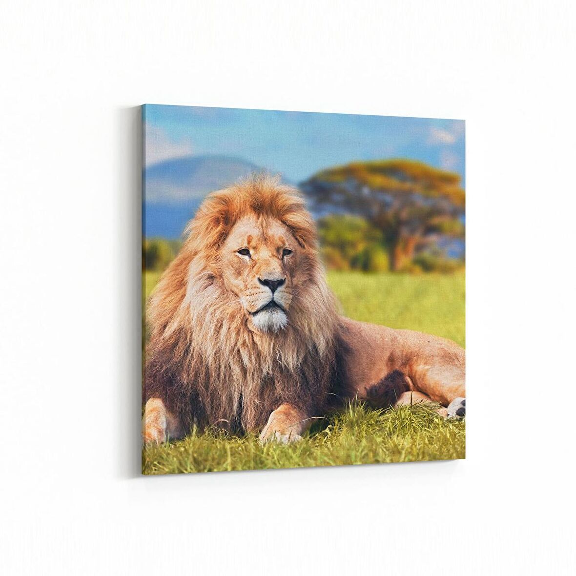 Olla 12535K Hayvanlar Alemi Görseli Kare Kanvas Tablo (Ölçü: 25X25)