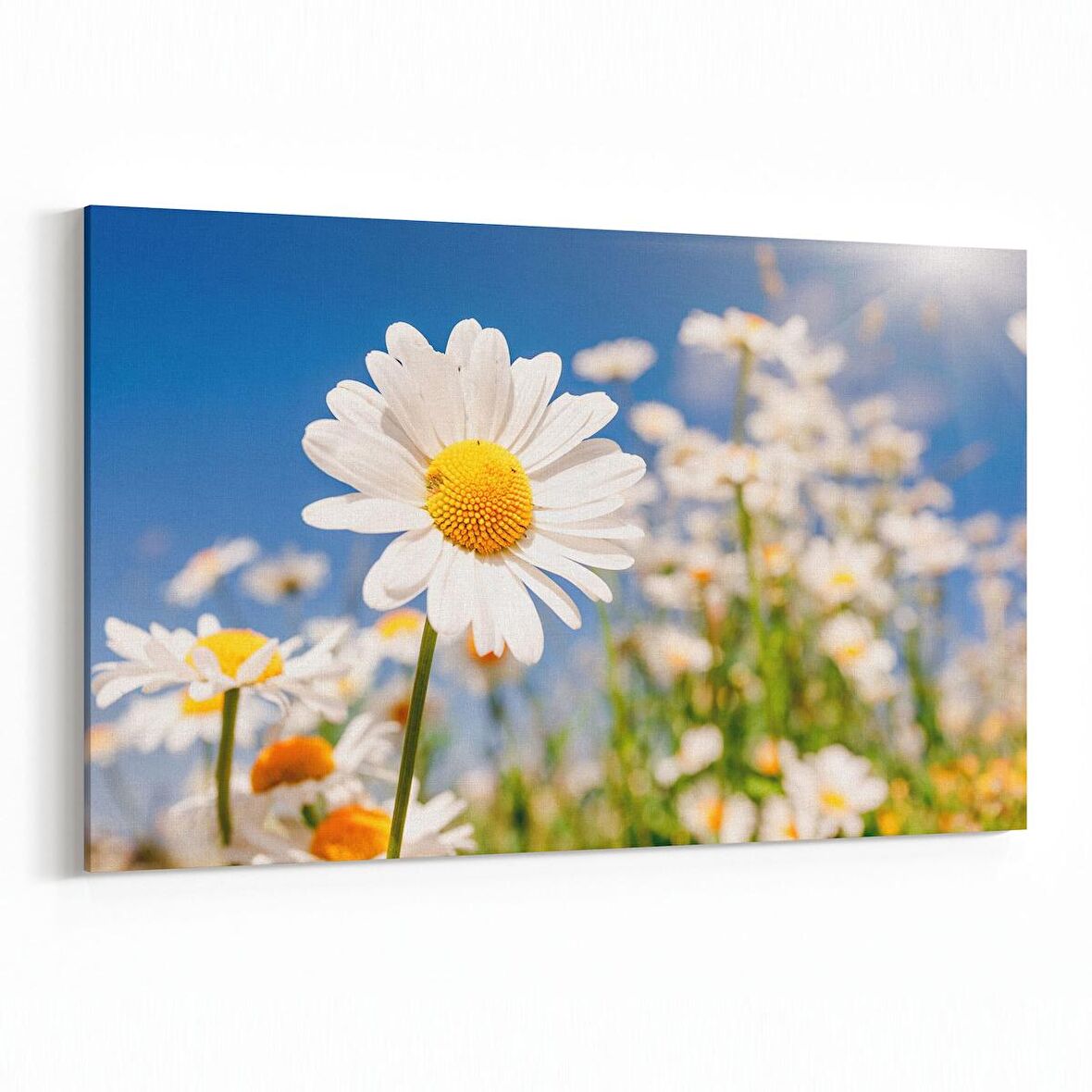 Olla 13543Y Doğa / Manzara Görseli Yatay Kanvas Tablo (Ölçü: 70X50)