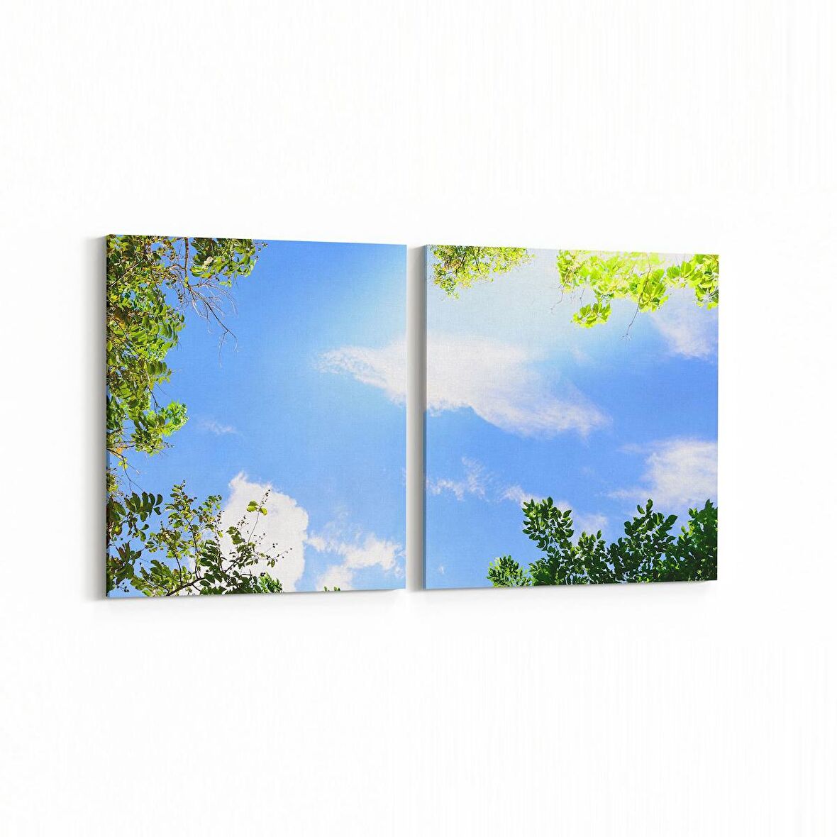Olla 10775K2Y Ağaç Görseli Kare 2'li Yatay Kanvas Tablo (Ölçü: 145X70)