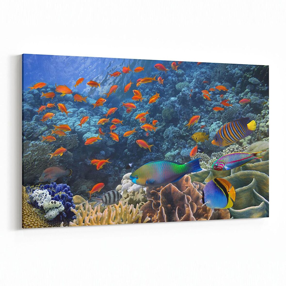 Olla 12163Y Akvaryum / Balık Görseli Yatay Kanvas Tablo (Ölçü: 90X60)