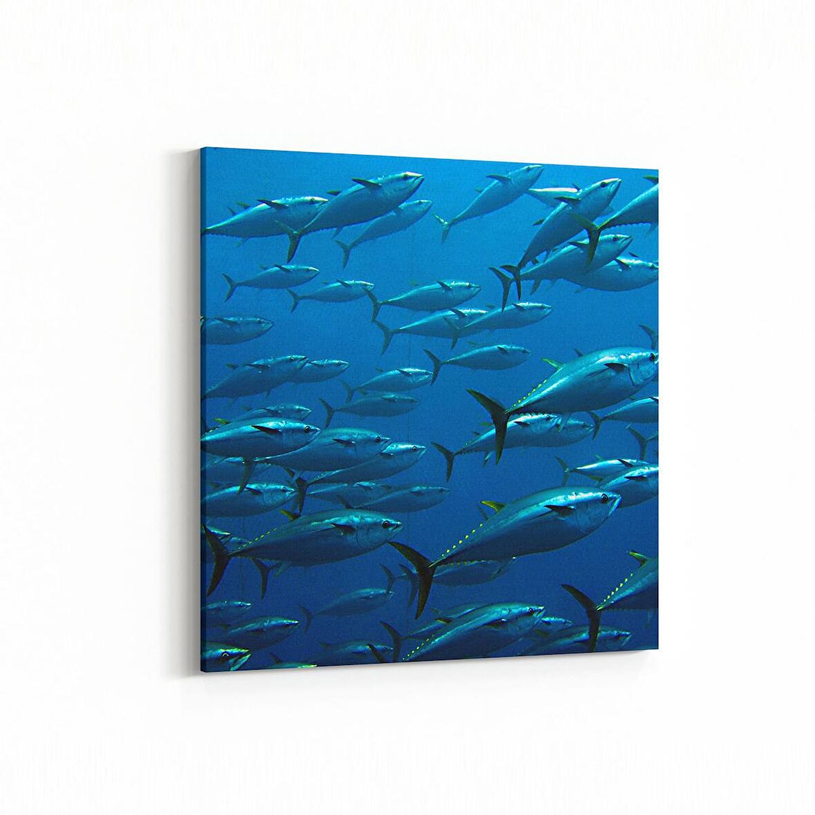 Olla 12866K Deniz / Okyanus Görseli Kare Kanvas Tablo (Ölçü: 25X25)