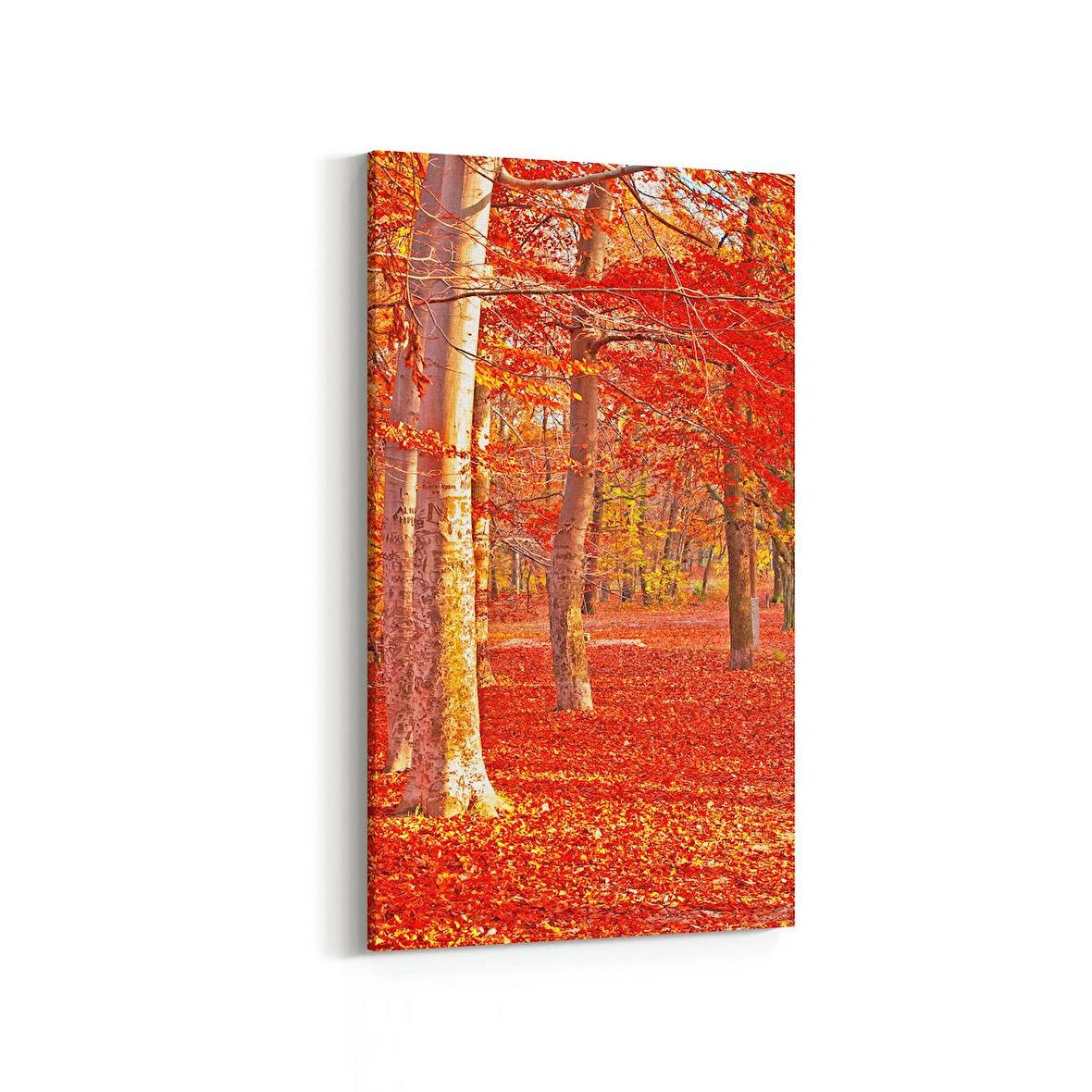 Olla 13553DD Doğa / Manzara Görseli Dikey Dar Kanvas Tablo (Ölçü: 30X60)
