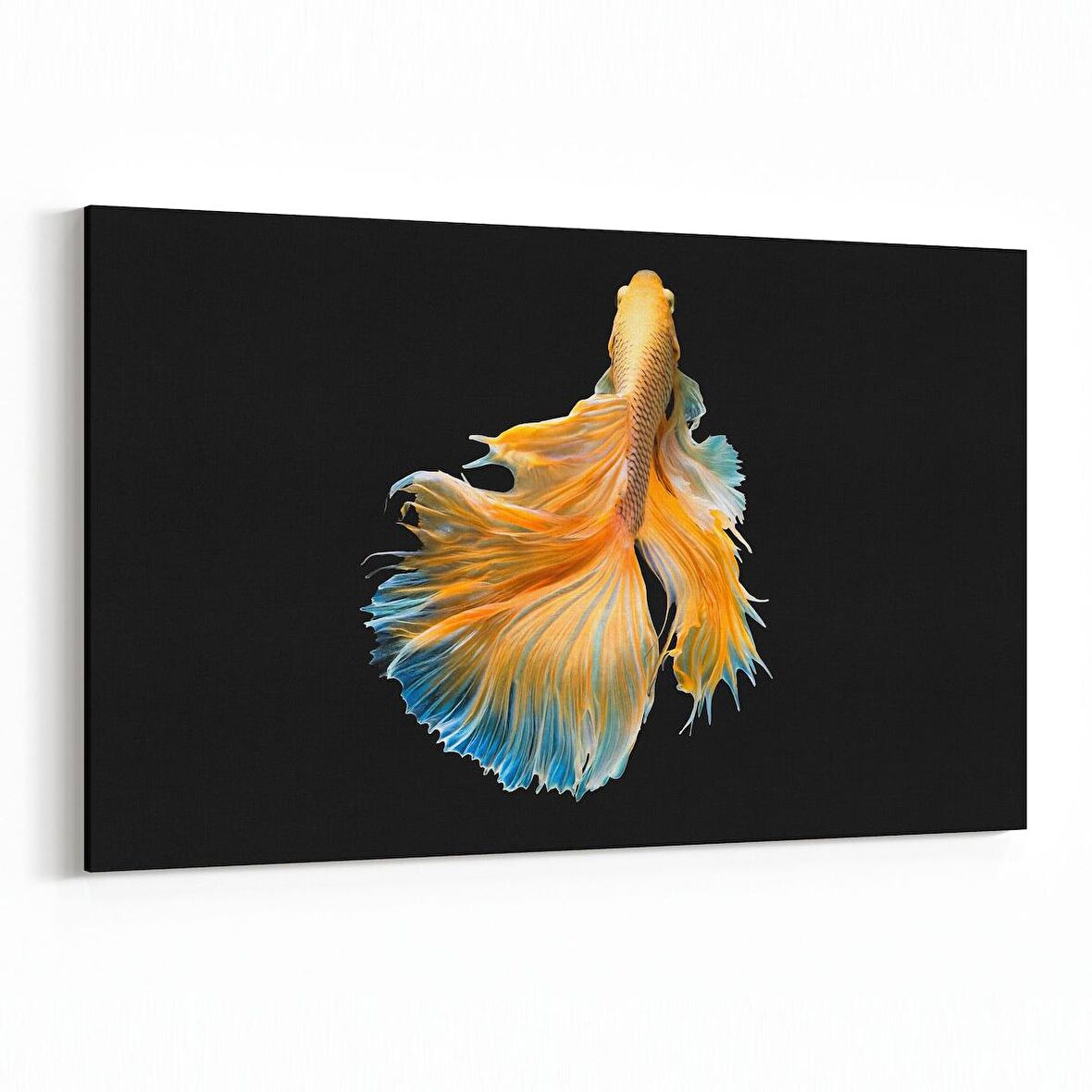 Olla 12486Y Hayvanlar Alemi Görseli Yatay Kanvas Tablo (Ölçü: 150X100)