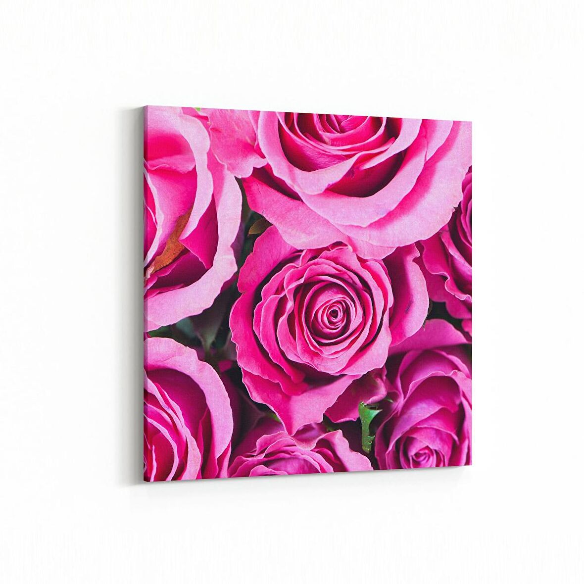 Olla 11567K Çiçek Görseli Kare Kanvas Tablo (Ölçü: 100X100)