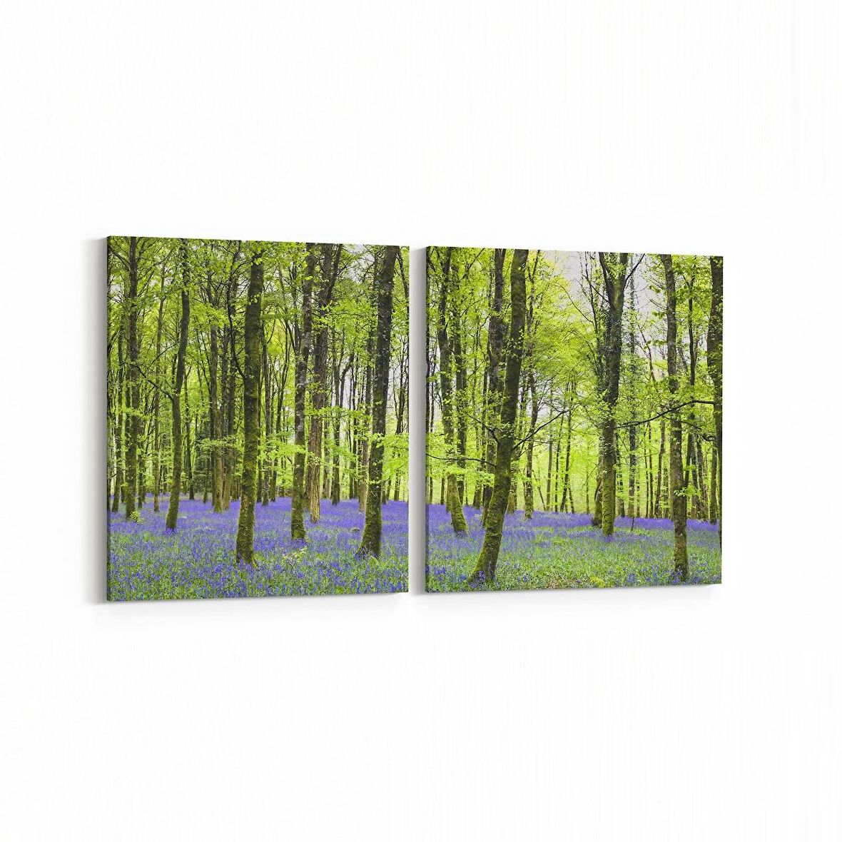 Olla 13442K2Y Doğa / Manzara Görseli Kare 2'li Yatay Kanvas Tablo (Ölçü: 125X60)