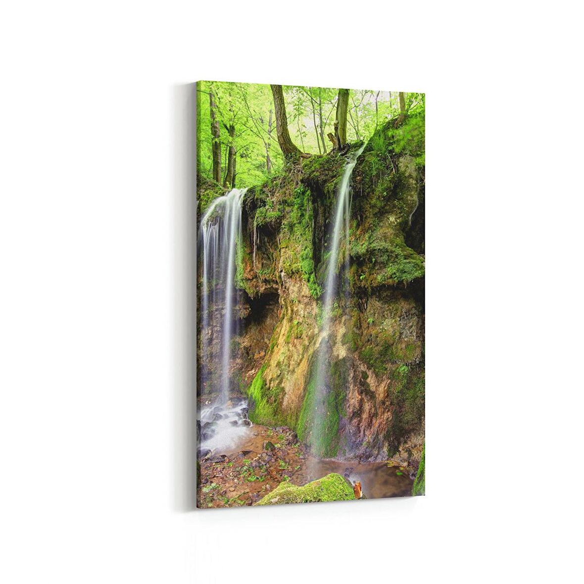 Olla 13840DD Doğa / Manzara Görseli Dikey Dar Kanvas Tablo (Ölçü: 40X80)