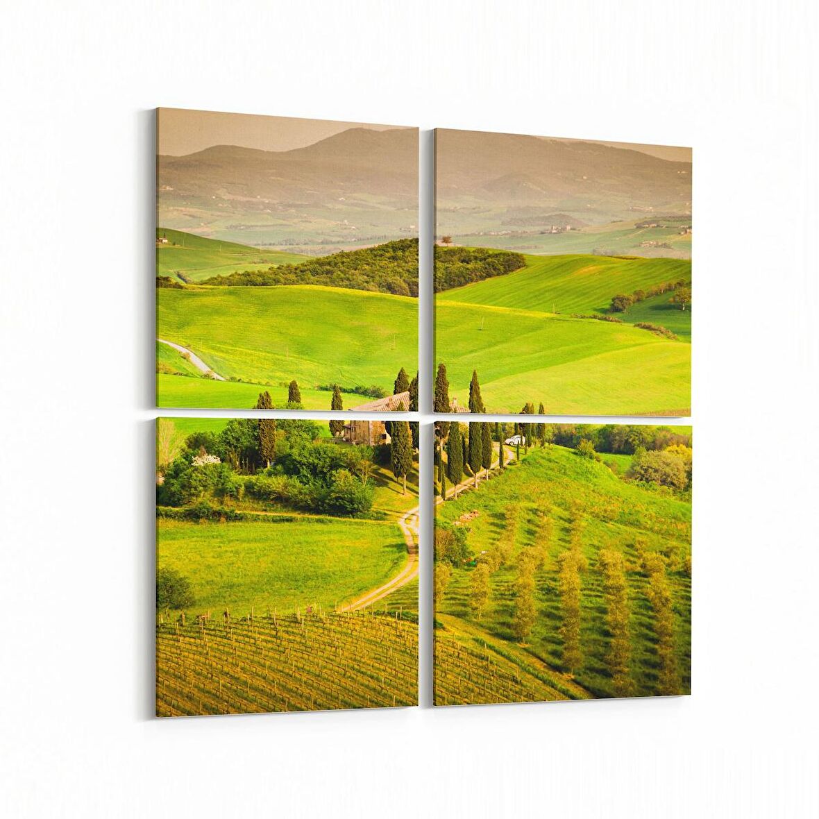 Olla 13628K4 Doğa / Manzara Görseli Kare 4'lü Kanvas Tablo (Ölçü: 105X105)