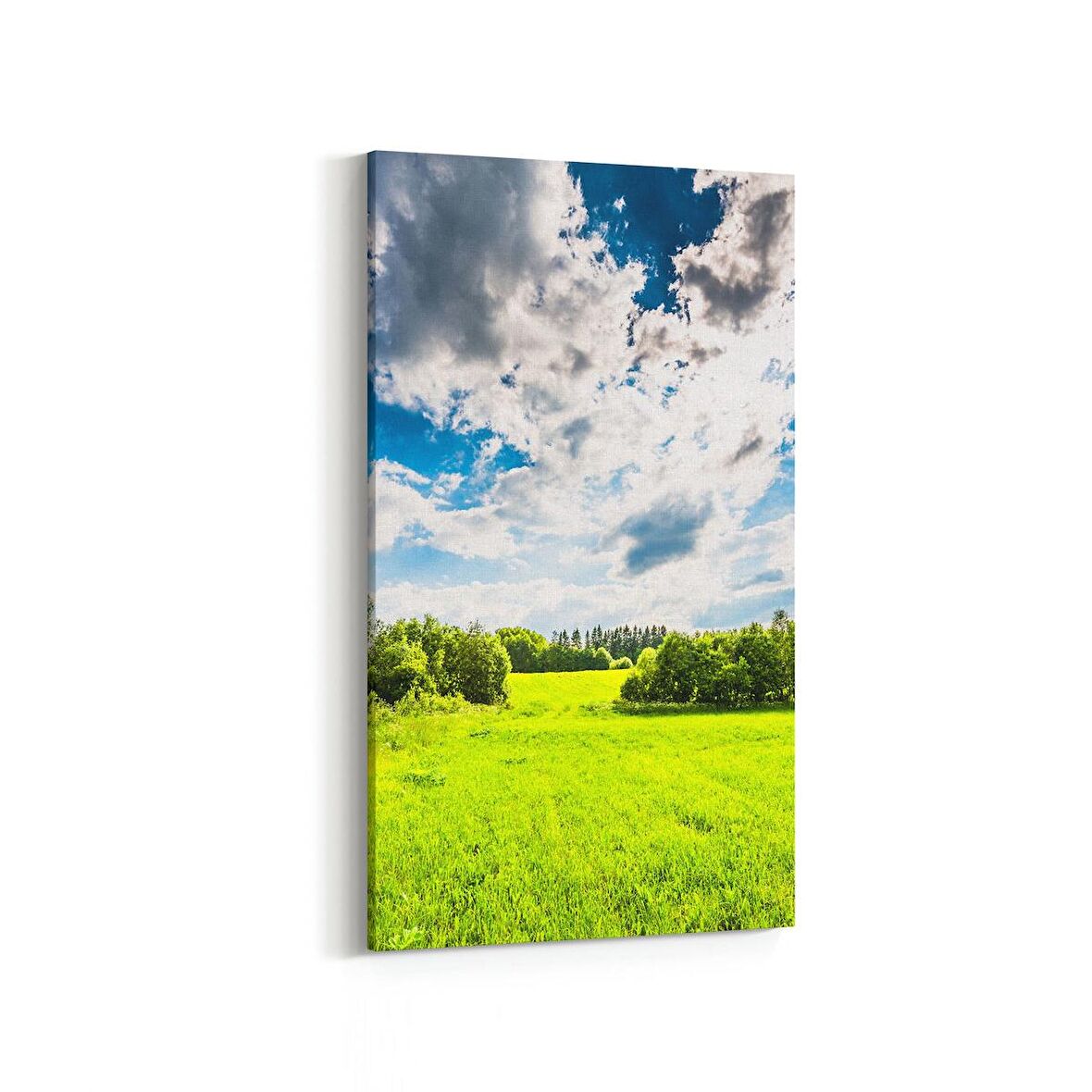 Olla 13863DD Doğa / Manzara Görseli Dikey Dar Kanvas Tablo (Ölçü: 30X60)