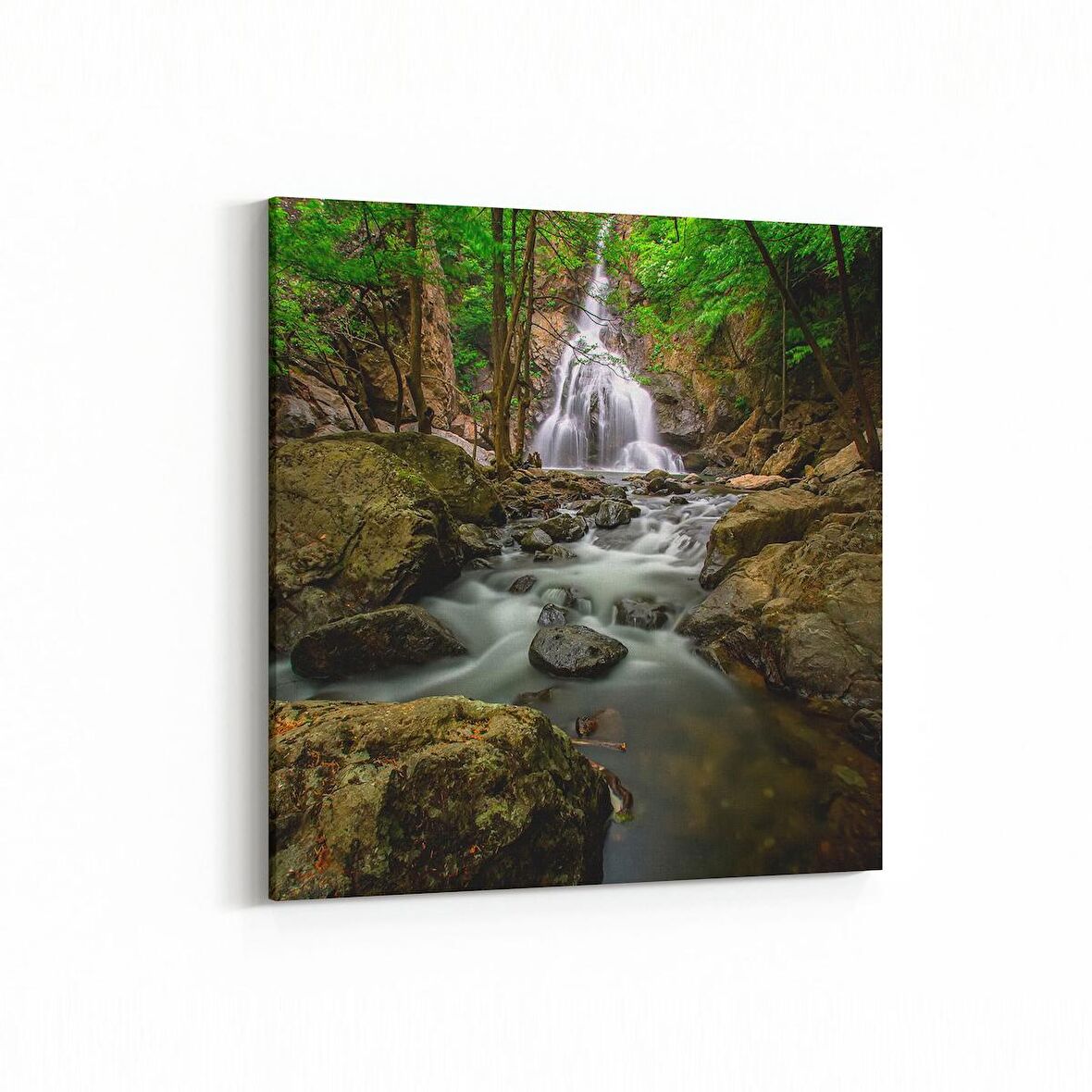 Olla 13164K Doğa / Manzara Görseli Kare Kanvas Tablo (Ölçü: 30X30)