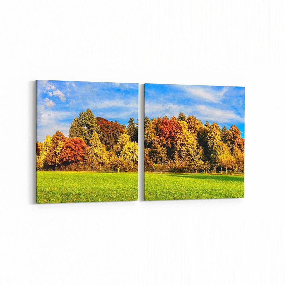 Olla 14131K2Y Doğa / Manzara Görseli Kare 2'li Yatay Kanvas Tablo (Ölçü: 125X60)