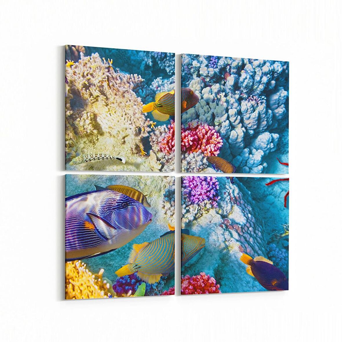 Olla 12131K4 Akvaryum / Balık Görseli Kare 4'lü Kanvas Tablo (Ölçü: 65X65)