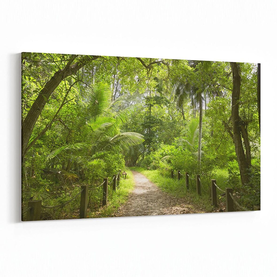 Olla 13428Y Doğa / Manzara Görseli Yatay Kanvas Tablo (Ölçü: 70X50)