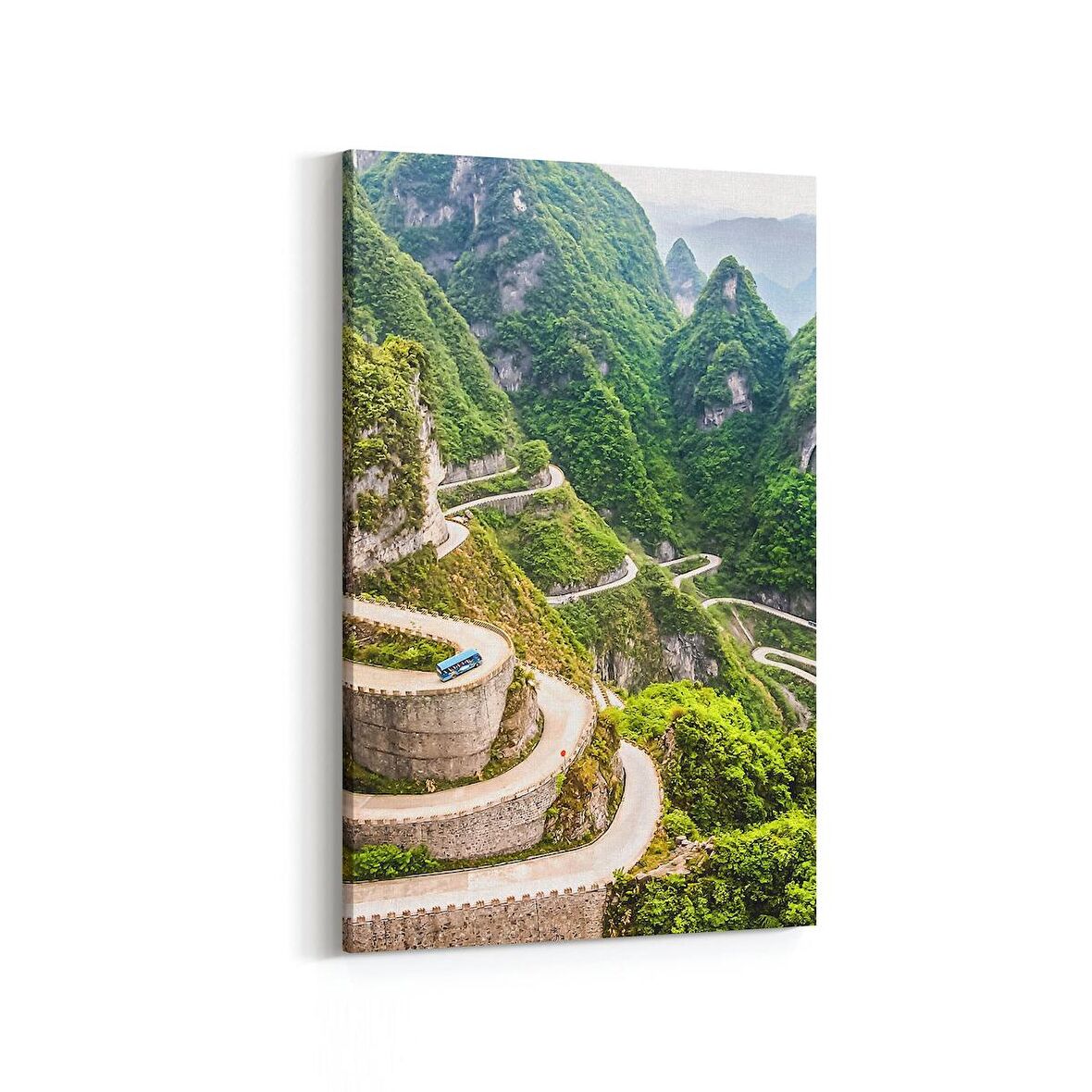 Olla 14321D Doğa / Manzara Görseli Dikey Kanvas Tablo (Ölçü: 60X90)