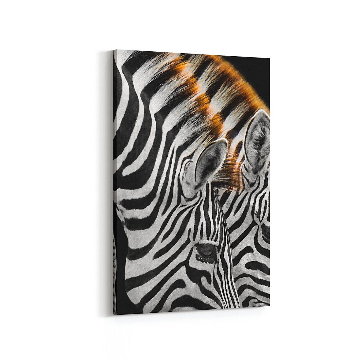 Olla 12553D Hayvanlar Alemi Görseli Dikey Kanvas Tablo (Ölçü: 100X150)