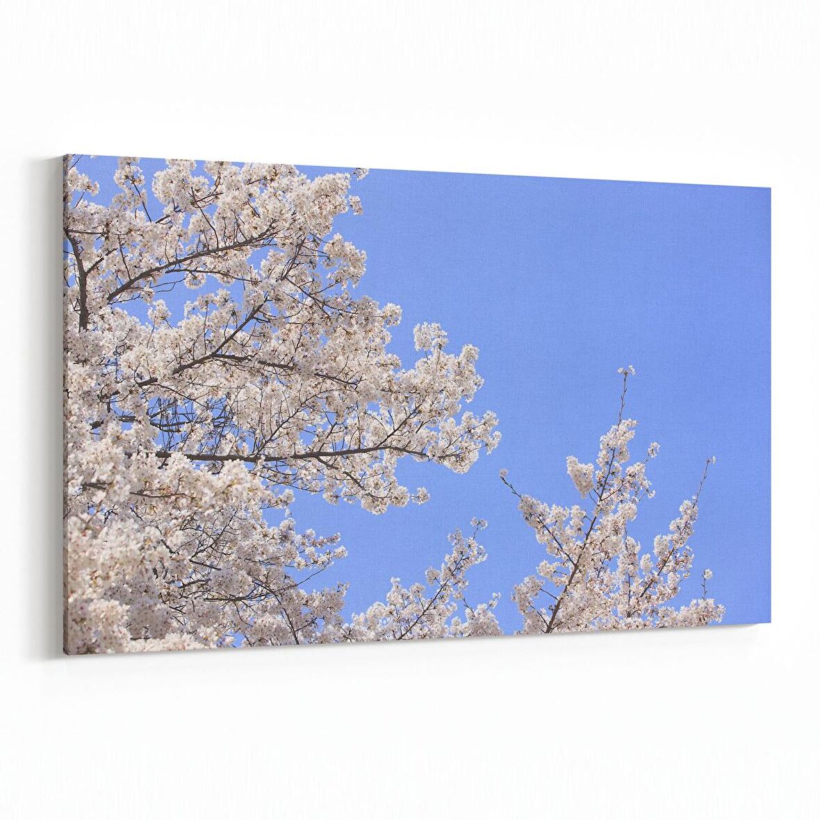 Olla 10680Y Ağaç Görseli Yatay Kanvas Tablo (Ölçü: 120X80)