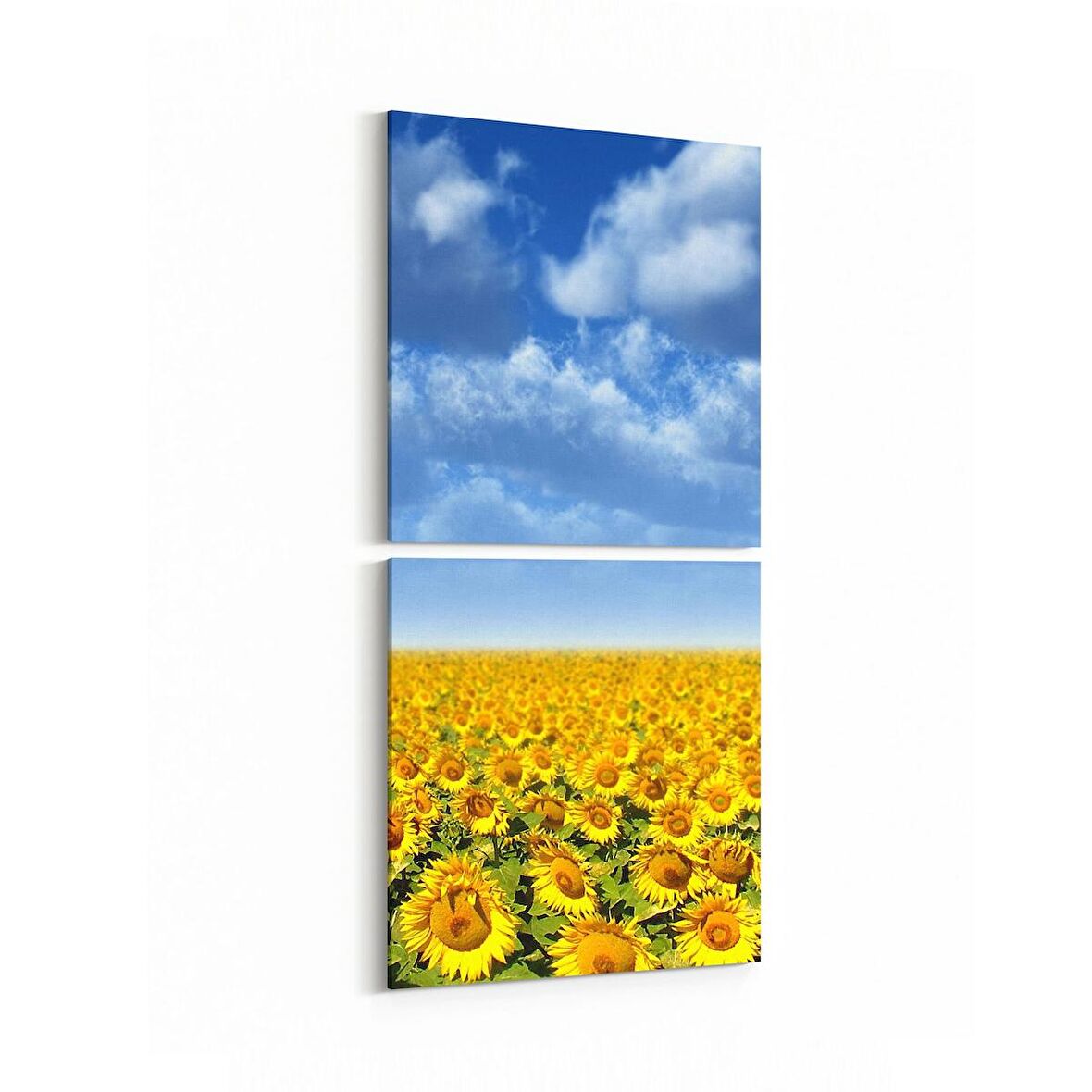 Olla 13933K2D Doğa / Manzara Görseli Kare 2'li Dikey Kanvas Tablo (Ölçü: 30X65)