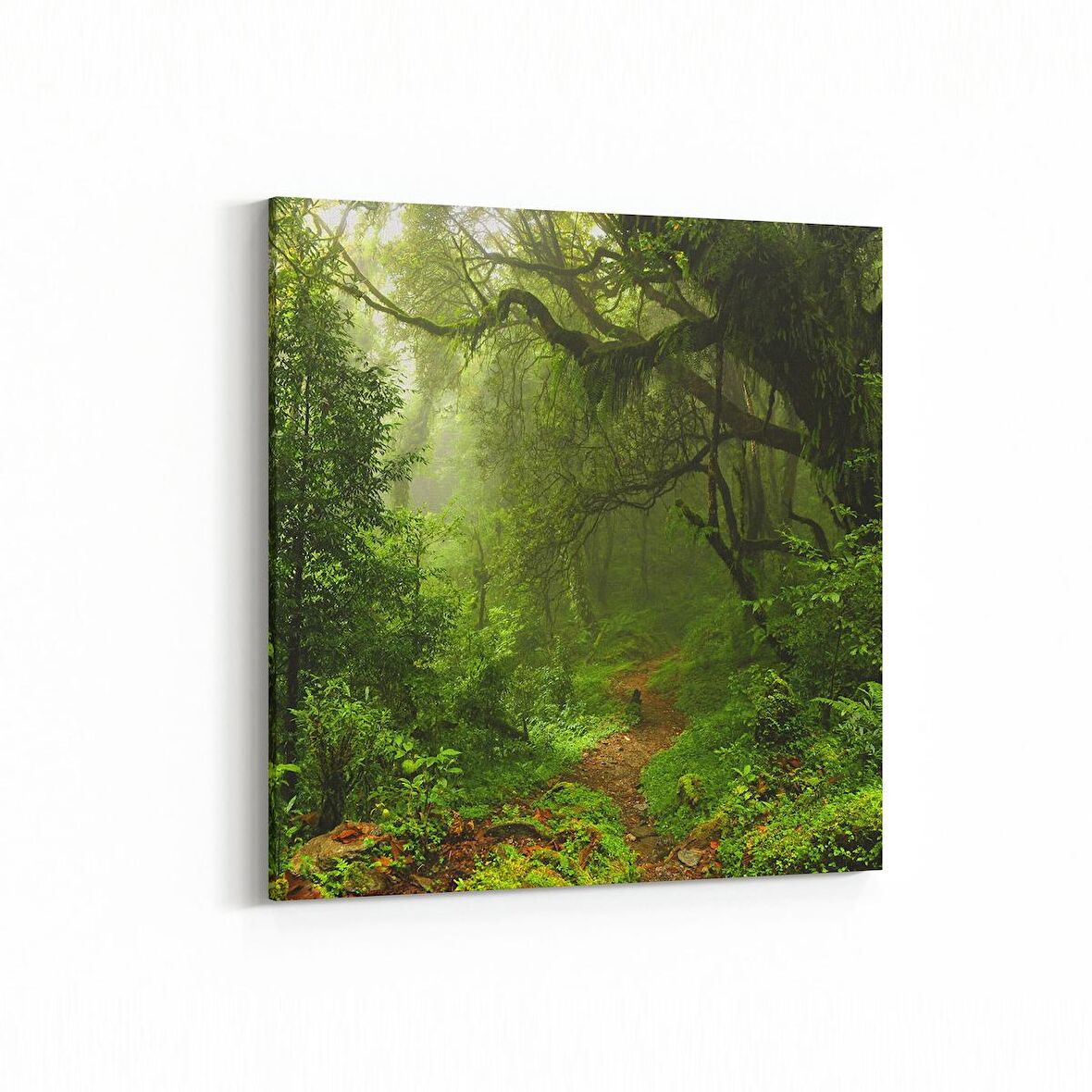 Olla 13455K Doğa / Manzara Görseli Kare Kanvas Tablo (Ölçü: 30X30)