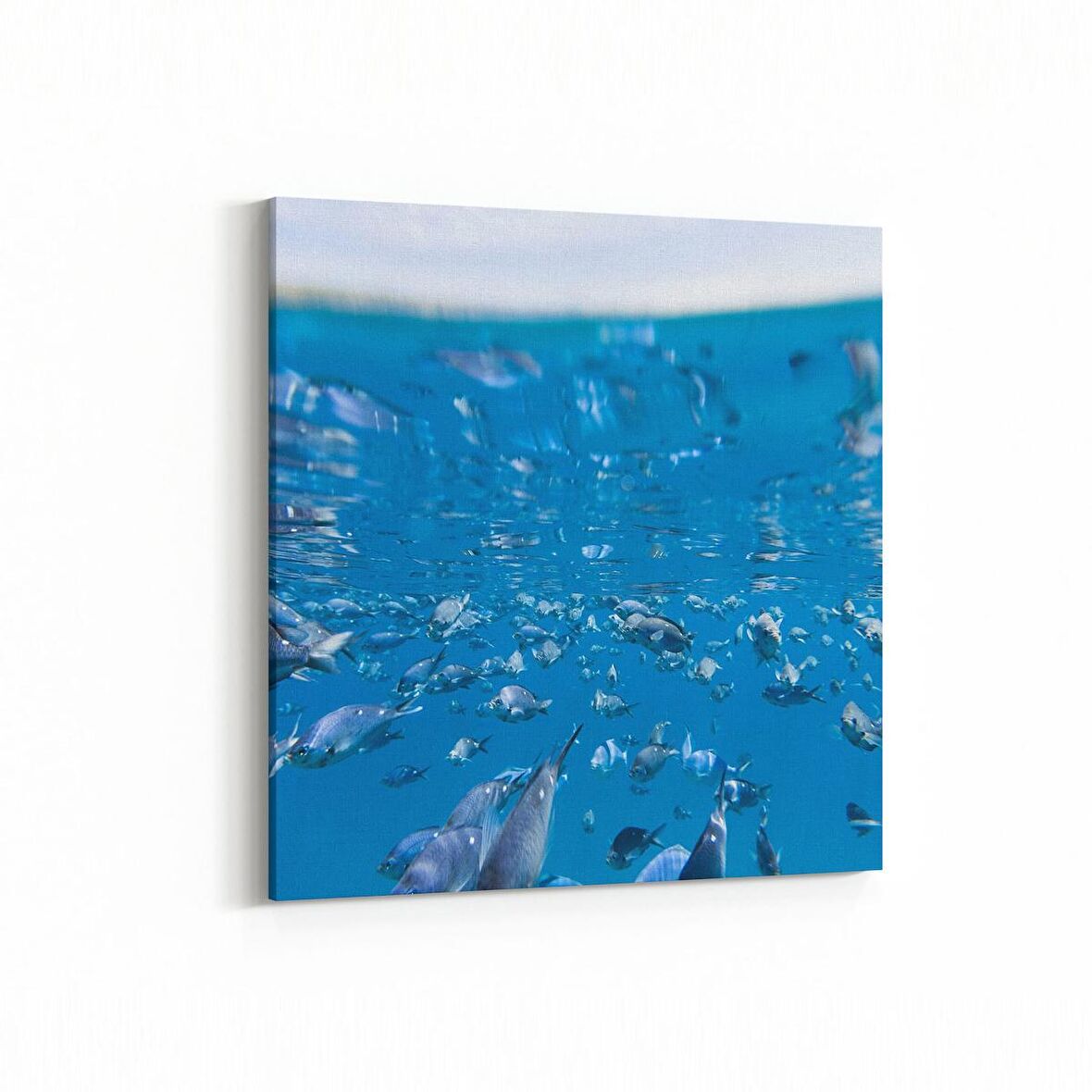 Olla 12881K Deniz / Okyanus Görseli Kare Kanvas Tablo (Ölçü: 30X30)