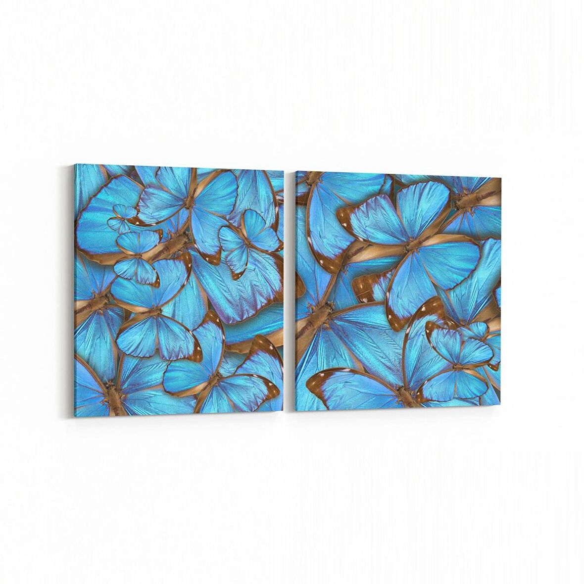 Olla 12569K2Y Hayvanlar Alemi Görseli Kare 2'li Yatay Kanvas Tablo (Ölçü: 105X50)