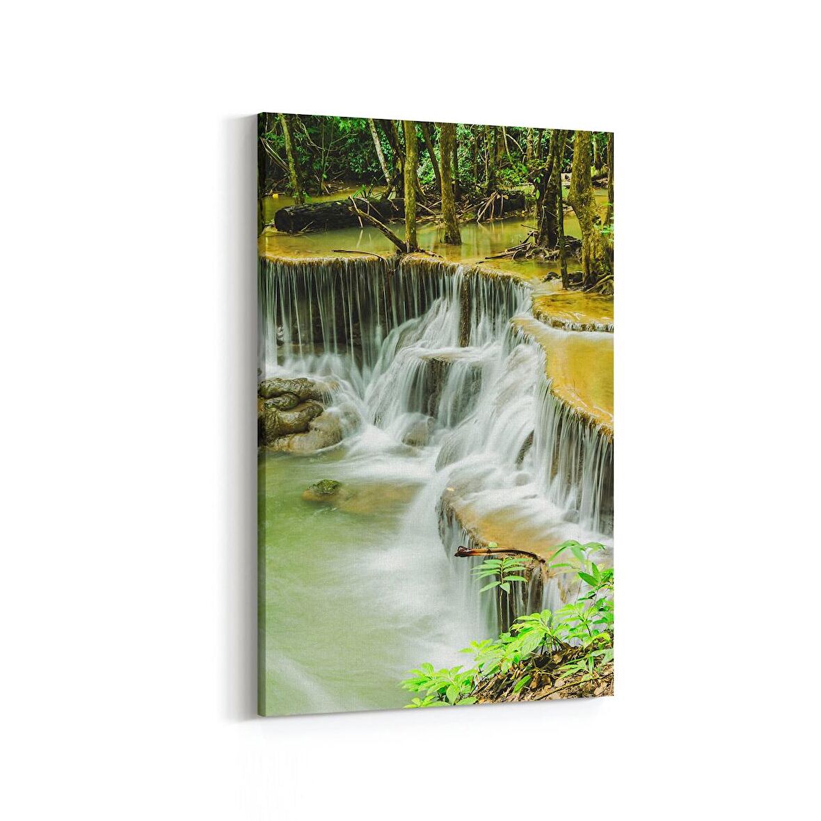 Olla 13746D Doğa / Manzara Görseli Dikey Kanvas Tablo (Ölçü: 60X90)