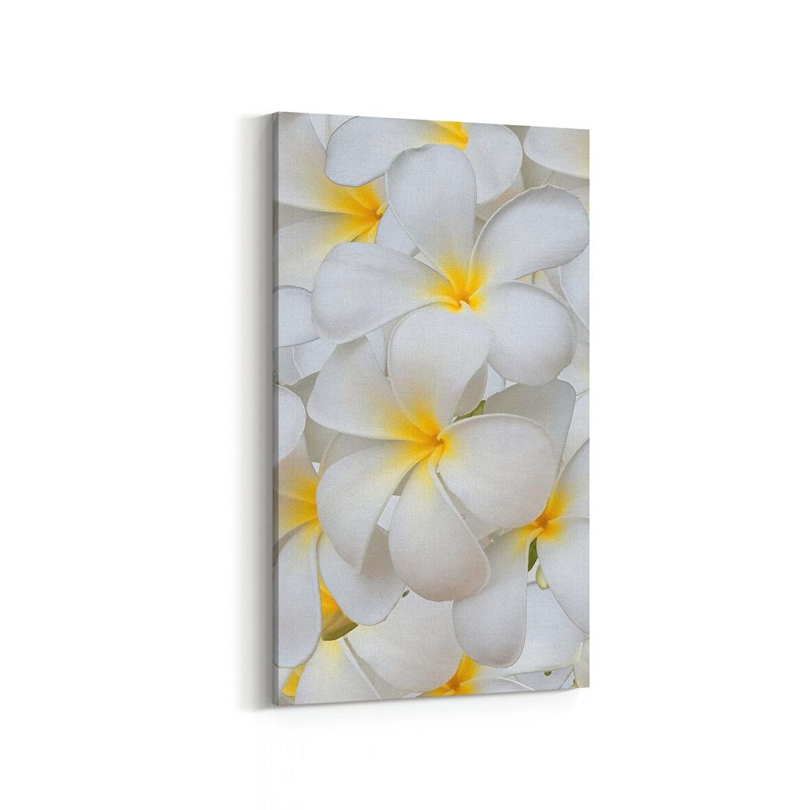 Olla 11633DD Çiçek Görseli Dikey Dar Kanvas Tablo (Ölçü: 30X60)