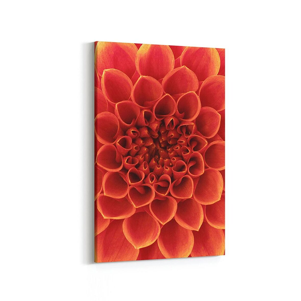 Olla 11647D Çiçek Görseli Dikey Kanvas Tablo (Ölçü: 60X90)