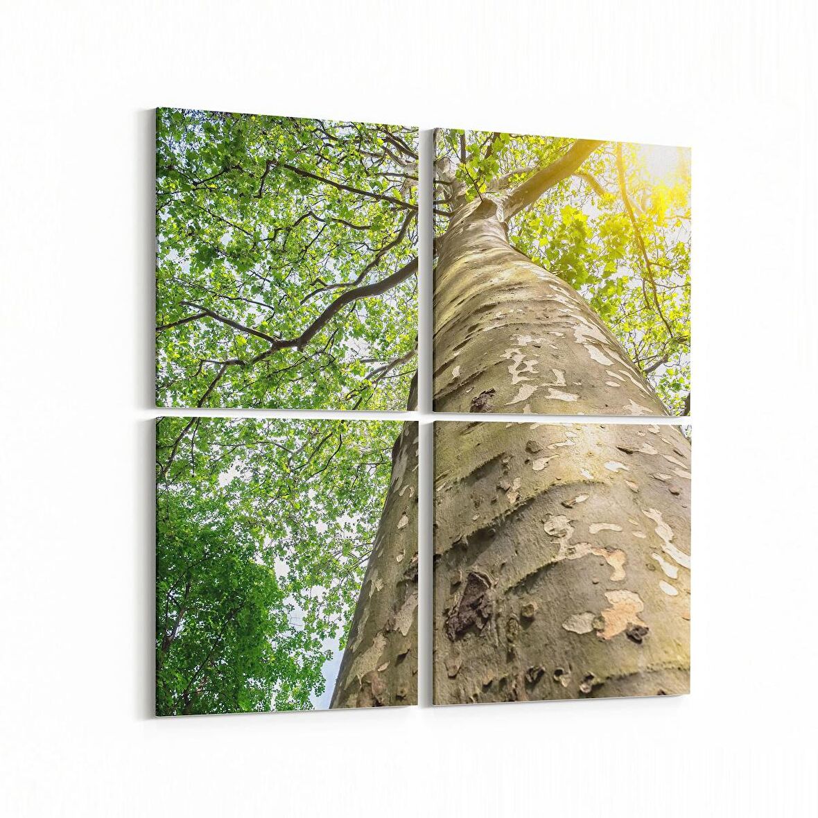 Olla 10485K4 Ağaç Görseli Kare 4'lü Kanvas Tablo (Ölçü: 105X105)