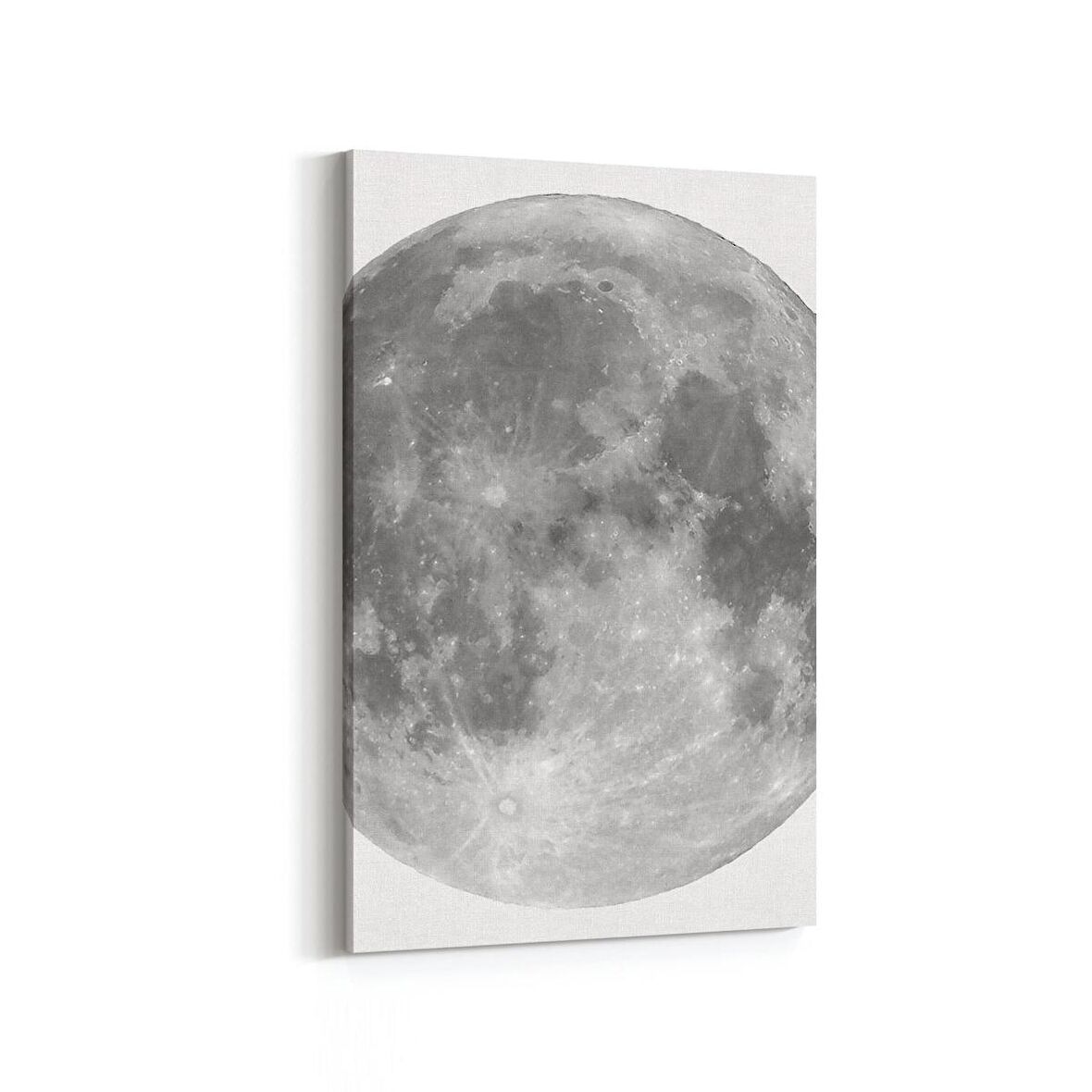 Olla 17639D Uzay Görseli Dikey Kanvas Tablo (Ölçü: 60X90)